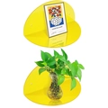 Set of two bright orange acrylic floating shelves for wall decor and storage - Neon Yellow