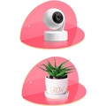 Pink acrylic floating wall shelves set of 2 for camera and plants room decoration - Pink