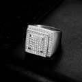 Anello hip-hop di lusso da uomo con doppia fila di cristalli pavé quadrati - US 7 / Color Acciaio