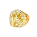 Hip hop gold plated stainless steel ring featuring horseshoe and horse head design with zircon - US 7 / Gold