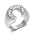 Brushed stainless steel horseshoe ring for men with 11 round cubic zirconia stones - US 7 / Steel