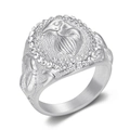 Silver eagle head ring for men with side feather textures and sparkling zircon inlay - US 7 / Steel