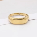 Polished gold signet ring for men and women with a minimalist oval flat top surface - US 6 / Gold