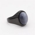 Bague élégante en acier titane noir ornée d'une pierre oeil de chat bleue ovale - Noir Électroplaqué Pierre Oeil de Chat Grise