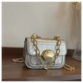Macro detail of silver crocodile embossed leather texture with gold round metal clasp - Silver