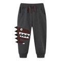 Dunkelgraue Kinder-Jogginghose mit Dinosaurier-Stickerei und Rippbund mit Kordelzug - 7Y(125) / Grau