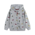 Kids grey hooded sweatshirt with colorful dinosaur prints and red zipper closure - 2Y / Mixed Grey