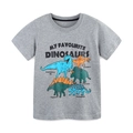 Graues Kinder-T-Shirt aus Baumwolle mit bunten Dinosaurier-Prints und Namen - 2Y(90cm) / Grau