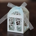 Makro-Detail von lasergeschnittenem Baum- und Vogelmuster auf hellblauer Geschenkbox - Perlhellblau