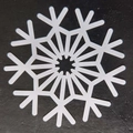 Macro shot of white snowflake paper coaster on black background for Christmas party - Snowflake Style E(E)