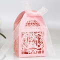 Detailed laser-cut birdcage pattern on pink pearlescent paper wedding favor gift box - Birdcage Birds Style (XTH-30)