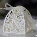Detail of pearl white butterfly laser cut gift box with silk ribbon for weddings - Ivory