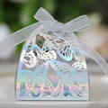 Holografische silberne Geschenkbox mit Laserschnitt-Schmetterling und Organzaband - Regenbogen