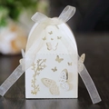 Macro view of laser-cut butterfly hollow pattern on creamy white candy gift box with ribbon - Starry White