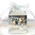 Close-up of laser-cut silver wedding favor box with bride and groom silhouette and ribbon - Reflective Silver