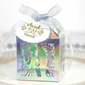 Iridescent laser cut wedding favor box with silhouette design and silver ribbon - Iridescent Box With Tag