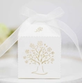 Dettaglio della scatola regalo bianca quadrata con albero dorato e nastro di seta bianco - Avorio