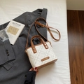 Chic beige bucket bag with brown leather trim and grid pattern on a stylish blazer - Brown No Pendant