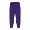 Men's outdoor sports joggers in deep purple with drawstring waist and ribbed cuffs - Purple