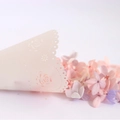 Cono di carta tagliato al laser con motivi a rose e petali di fiori per matrimoni - Carta Pergamena Trasparente