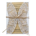 Invitation en dentelle découpée au laser avec papier kraft et ficelle naturelle - Ensemble Complet / Blanc