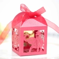 Dettaglio della scatola regalo rosa intagliata al laser con elefante e nastro - Rosso Perlato