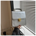 Detail of silver matte PU leather handbag with vintage gold buckle and slim strap - No Pendant / Silver