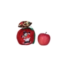 Red Christmas drawstring gift bag with cute snowman print and green satin ribbon - Red Green Print B