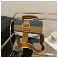 Detail der gestreiften Web-Tasche mit braunem Lederriemen und goldener Schnalle auf Wagen - Braun