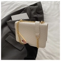 Detail of white woven texture shoulder bag with gold metal trim and chain strap - White