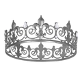 Krone für Herren aus silberner Legierung mit Fleur-de-Lis und Kristallverzierung - Gunmetal-Schwarz