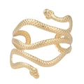 Bracciale da braccio regolabile a serpente dorato con squame e design a doppia testa - Stile Serpente con Trama Fine (BH011)