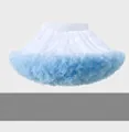 Girl's tutu skirt with white to light blue gradient and multi-layer mesh pleats - S / White and Blue