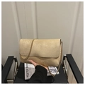 Detail der champagnerfarbenen Handtasche mit edler goldener Kettenriemen-Struktur - Khaki