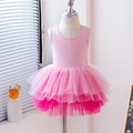 Pink sleeveless tutu dress for girls with layered mesh skirt and gradient pink tones - Top And Bottom / Pink Gradient / M-110cm