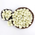 Uova di Pasqua gialle maculate in due nidi di rametti fatti a mano su sfondo bianco - 1.8cm / Beige