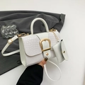 Witte handtas met krokodillenprint, gouden gesp en bijpassende mini-pochette - Wit