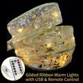 Goldenes LED-Weihnachtsband mit warmem Licht, USB-Anschluss und Fernbedienung - 10m / Gold (Warmweißes Licht+USB+Fernbedienung)
