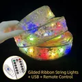 Goldenes LED-Band mit USB und Fernbedienung für die Weihnachtsbaumdekoration - 10m / Gold (Buntes Licht+USB+Fernbedienung)