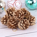 Goldene natürliche Kiefernzapfen mit Aufhängeseilen für Weihnachtsbaum Dekorationen - 4-5cm Gold