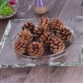 Natürliche getrocknete Kiefernzapfen in klarer Schale für rustikale Weihnachtsdeko - Kiefer 5-6cm