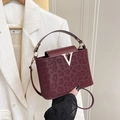 Borsa a tracolla bordeaux con stampa leopardata, fibbia a V dorata e pelle opaca - Borgogna
