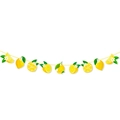 Dettaglio dello striscione estivo al limone con fette di agrumi e fiori per decorazioni - Piccola Ghirlanda di Farfalle