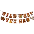Dettaglio dello striscione Wild West con cappello da cowboy, distintivo e icone cactus - Banner di lettere