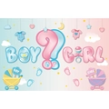 Blue and pink Boy or Girl gender reveal party backdrop with baby illustrations - Backdrop