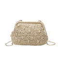 Beige woven clutch bag with gold chain and vintage metal frame closure for summer holidays - Cream White (Style 1) / 28*22*2