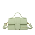 Minimalist light green lychee textured crossbody bag with gold hardware and top handle - Green