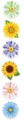 Roll of 2.5cm floral daisy and sunflower adhesive labels in six vibrant colors - Floral Pattern Style A (X212) / 1 inch / 500 stickers