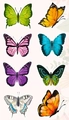 Roll of 8 vibrant butterfly stickers featuring intricate floral patterns and vivid colors - JF21; 2.5cm/500pcs