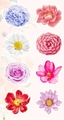 Rollo de pegatinas de flores en acuarela con 8 diseños florales para decorar regalos - Estilo Floral A (ZC27) / 3cm/500uds